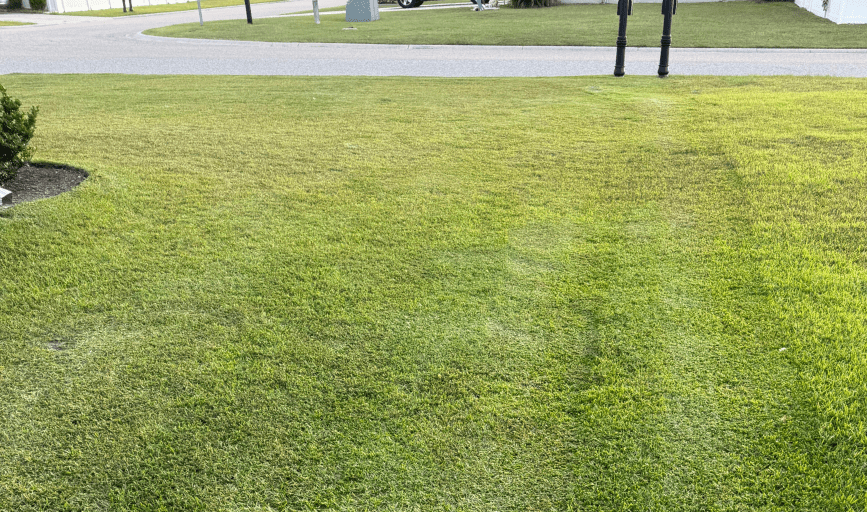 Diggs Lawncare and Handyman